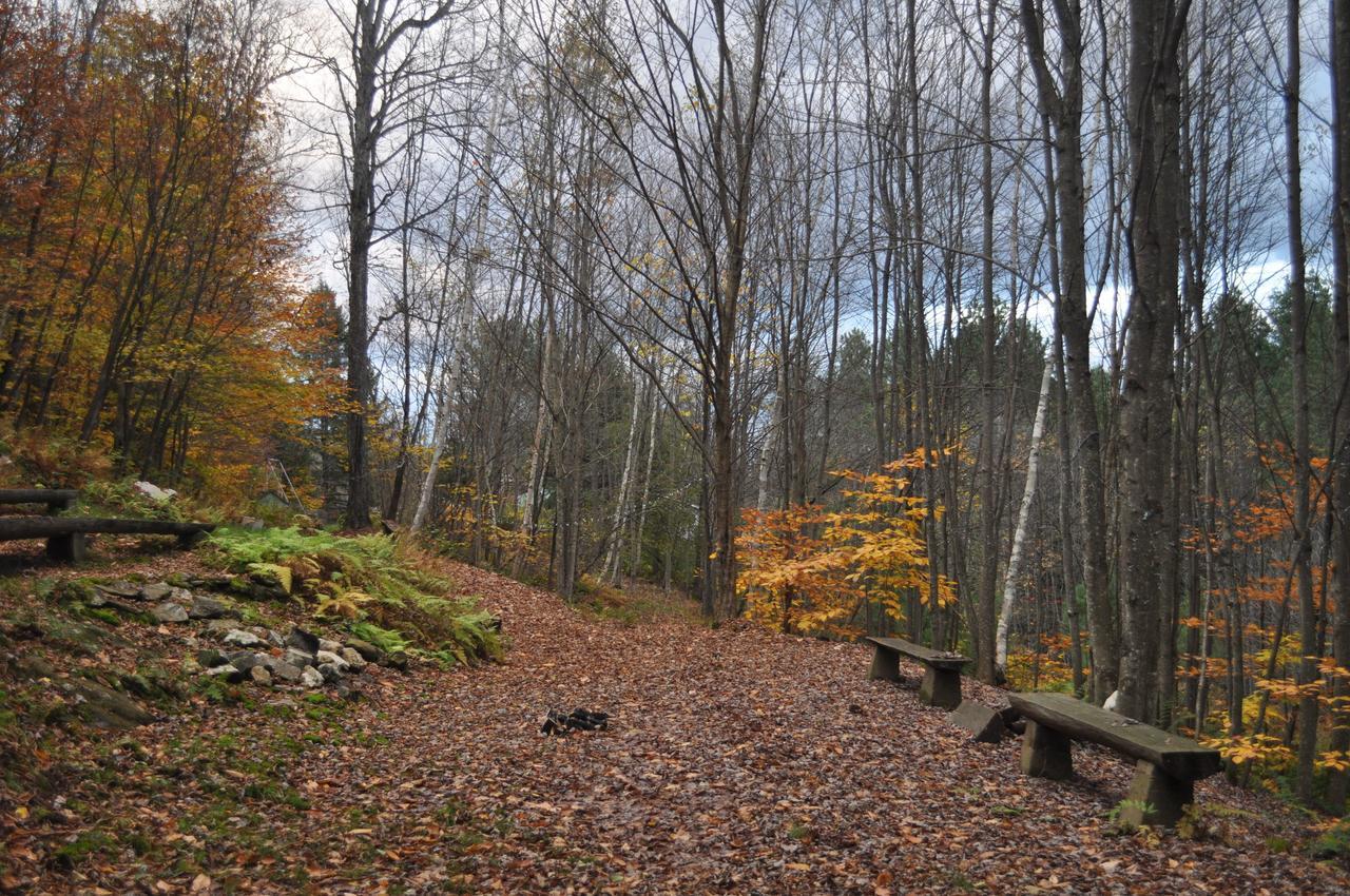 The Woods Lodge Northfield Zewnętrze zdjęcie